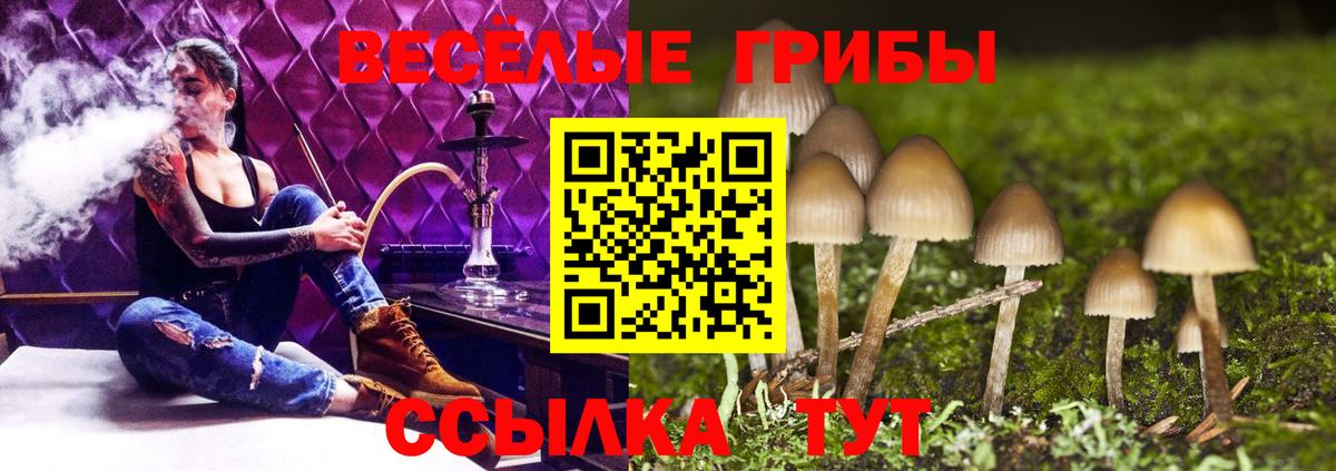 Галлюциногенные грибы Psilocybe  Псилоцибиновые грибы Cubensis  Вход с VPN  Энгельс 