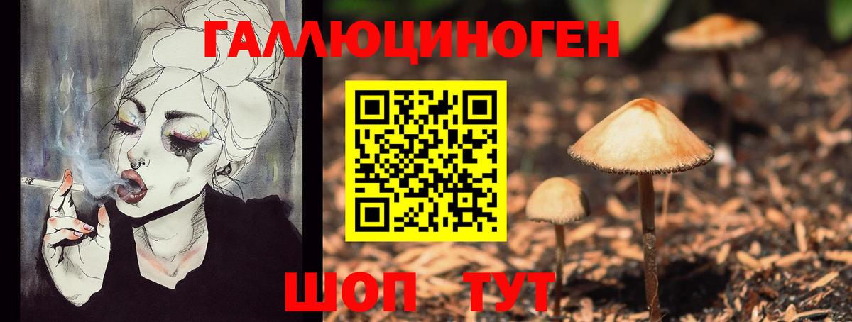 Галлюциногенные грибы Cubensis Энгельс